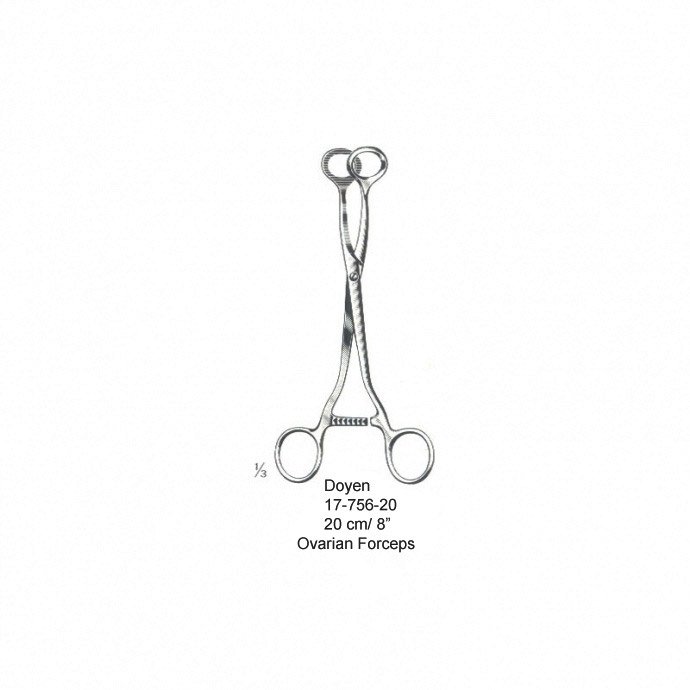 Doyen, (20 cm)